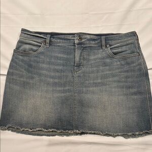 Carve Designs Denim Mini Skirt